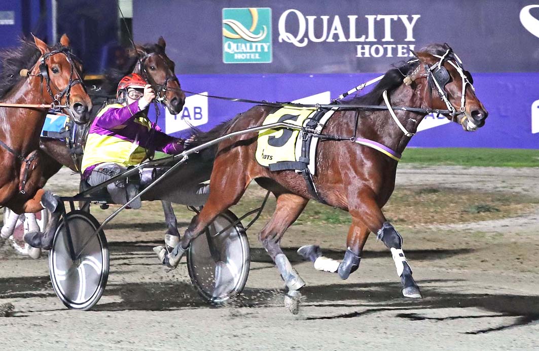 Group One winner to resurrect career