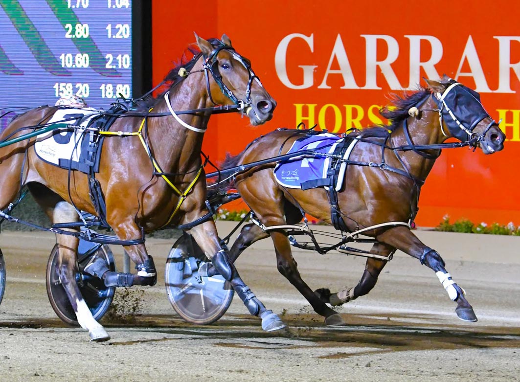 Shrewd investment keeps paying dividends