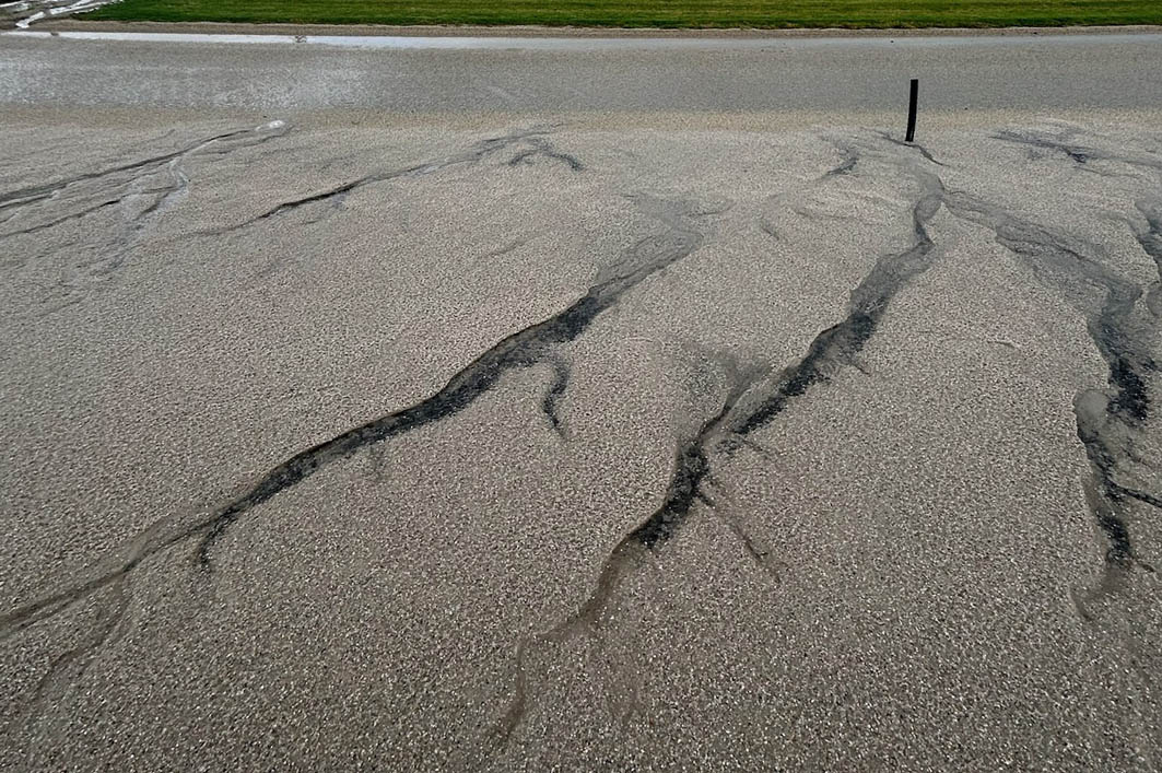 Quick action saves major meeting