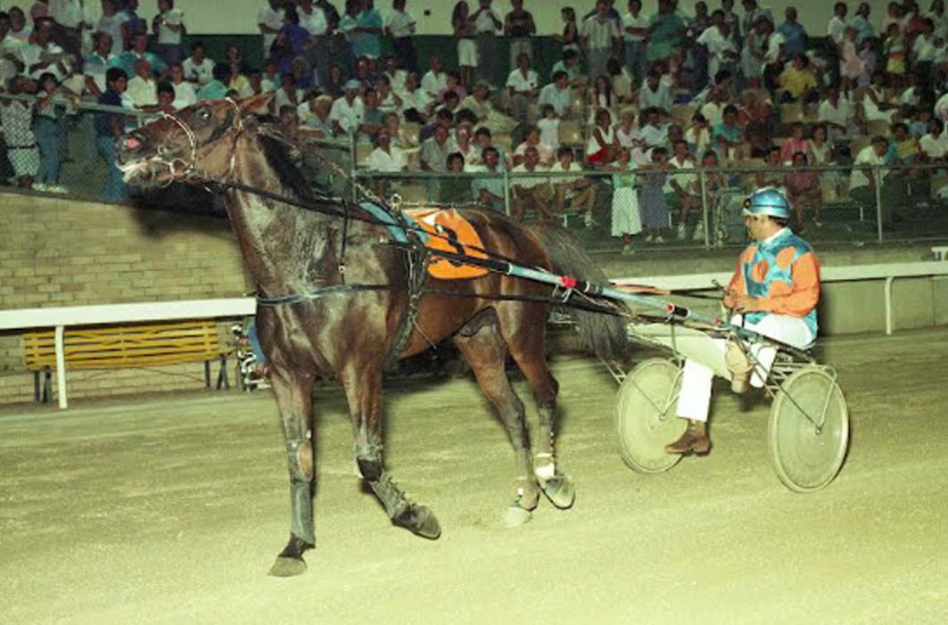 Sad loss of successful trainer and all-round nice guy