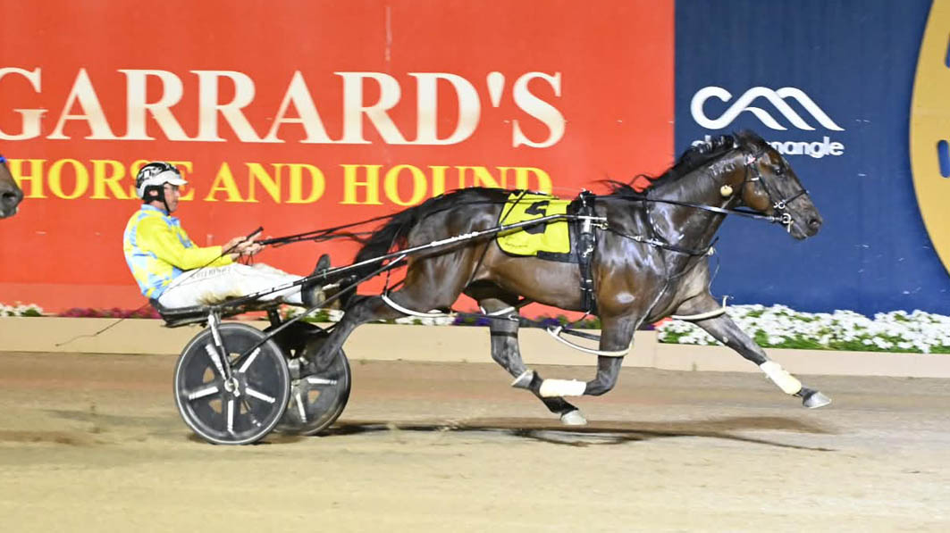 Injury-prone star to continue rise