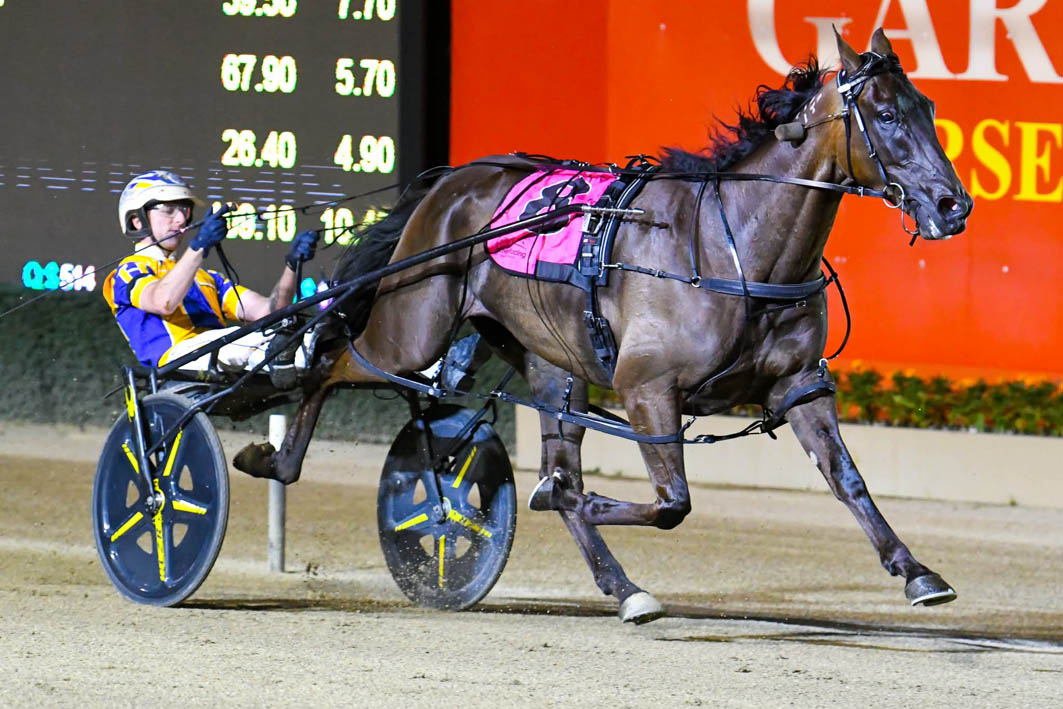 Glimpse of what can be expected