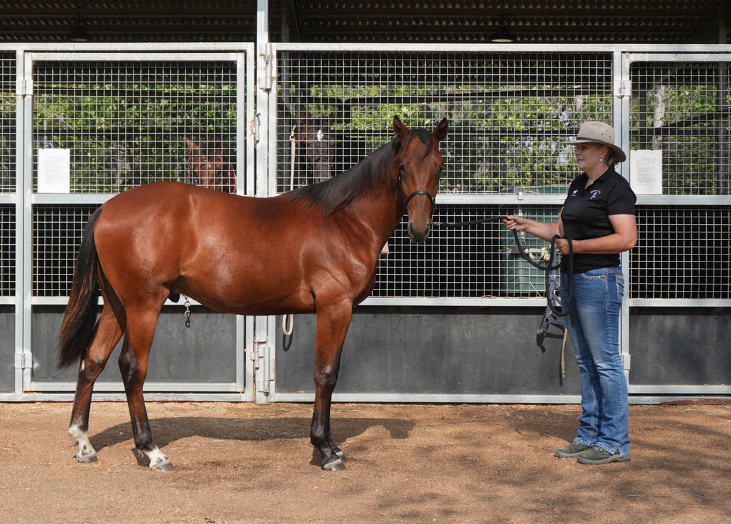 First season stock to attract plenty of attention