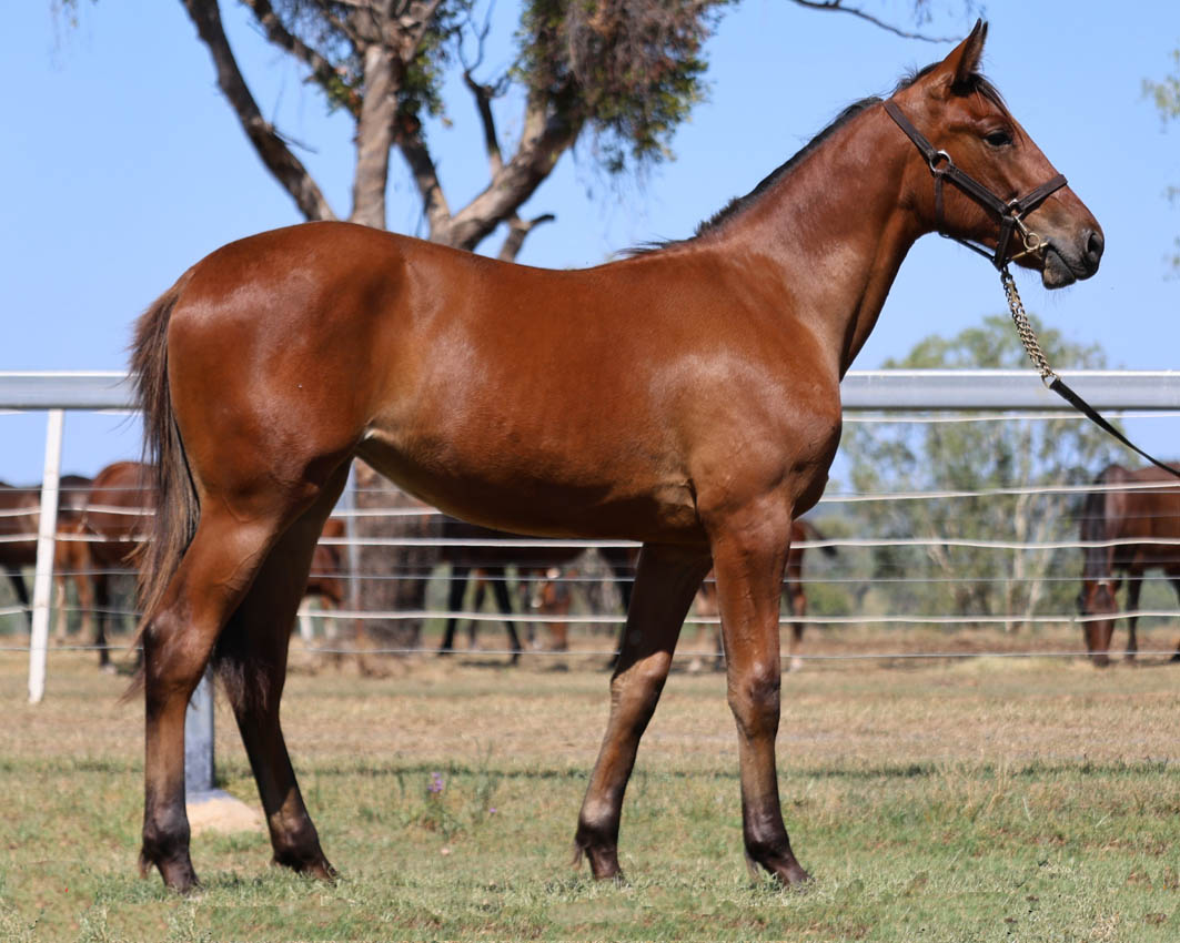 First time vendor looking to make her mark