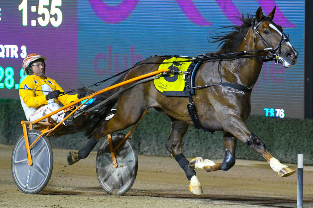 Shoeless trotter to continue rise through grades