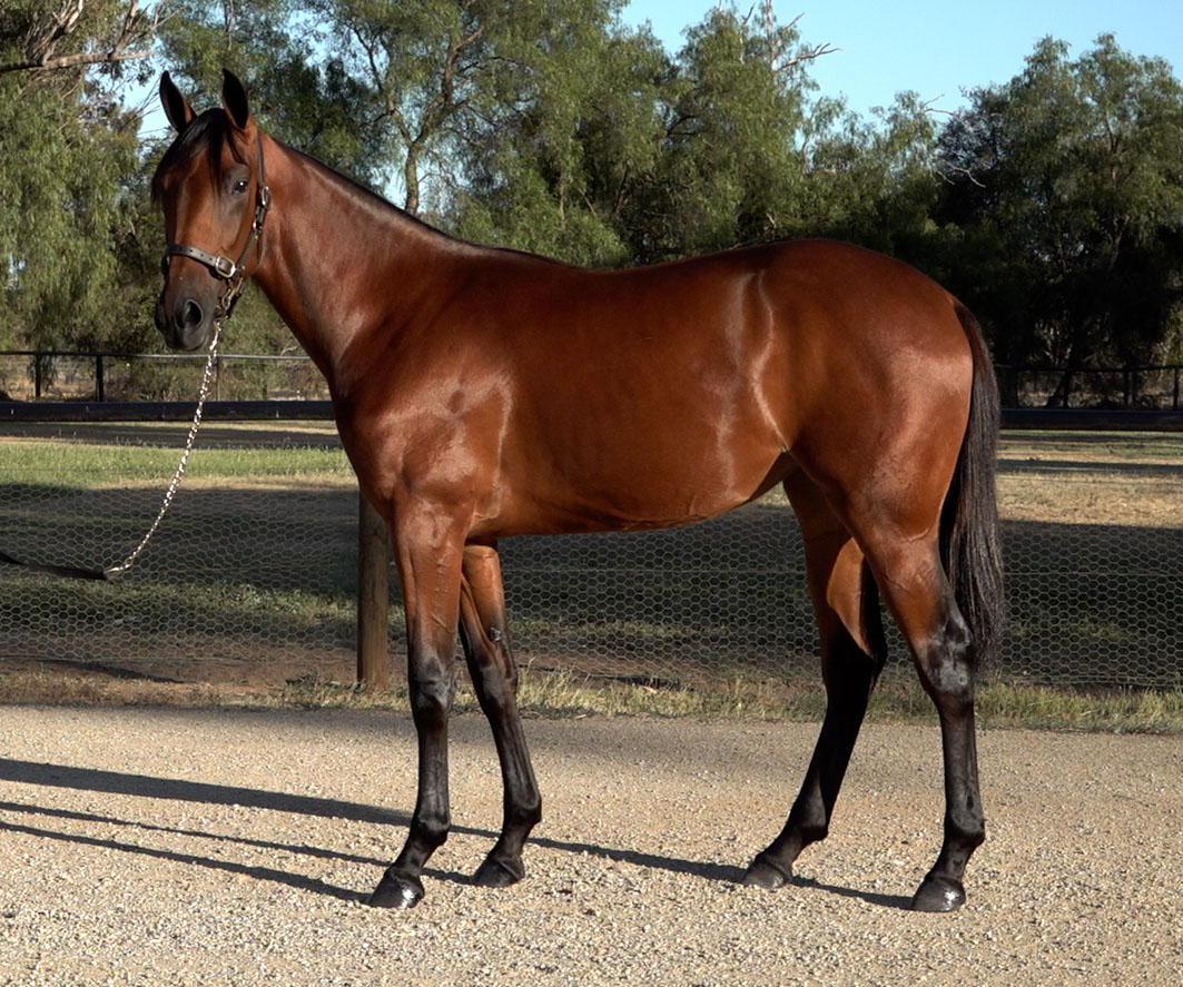 What a month to remember