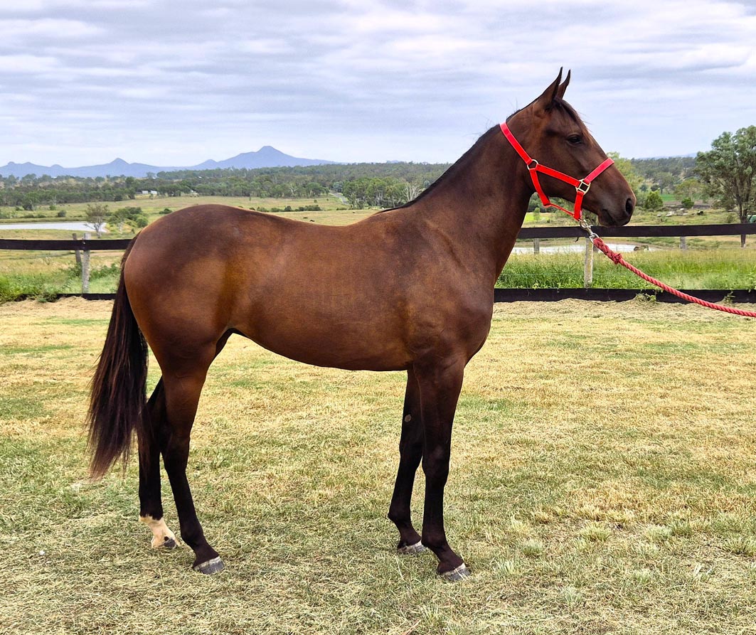 Essex has got that 'Wyning’ Way