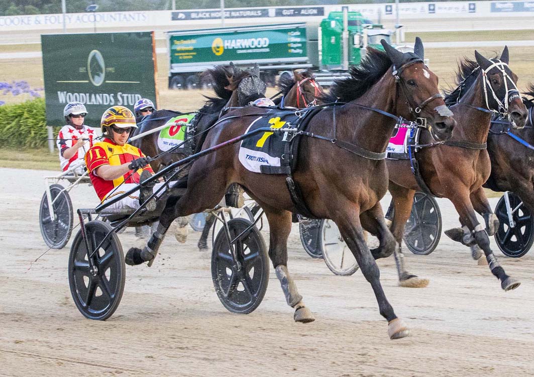 Busy week awaits exciting mare