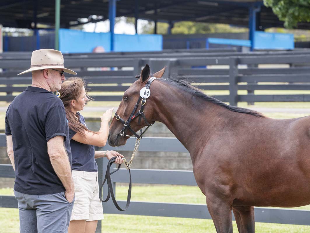 Momentum building as APG Melbourne to deliver...again!