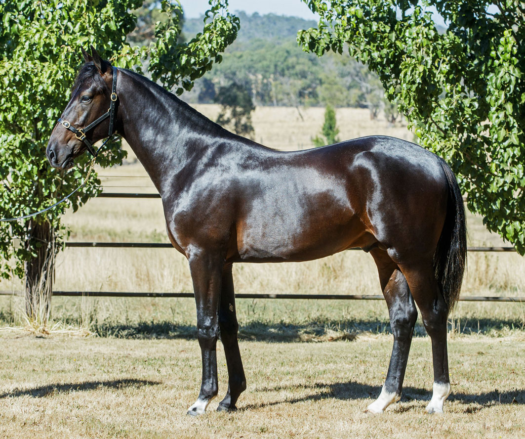 You better take notice