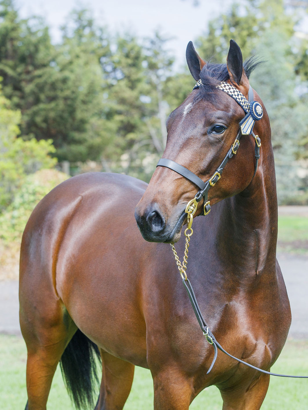 Showing style of his footy namesake