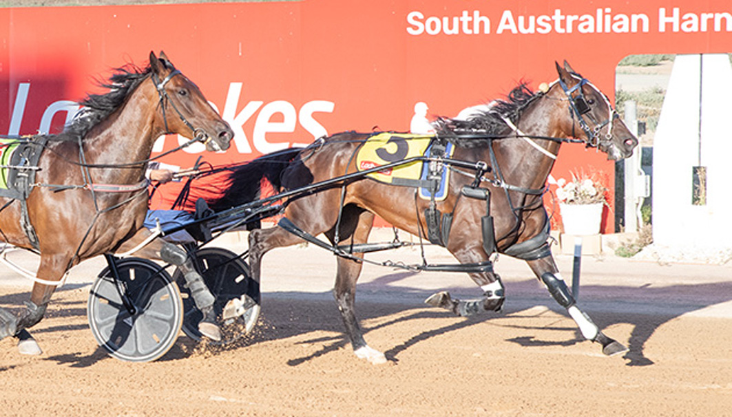 Fast becoming a family destination