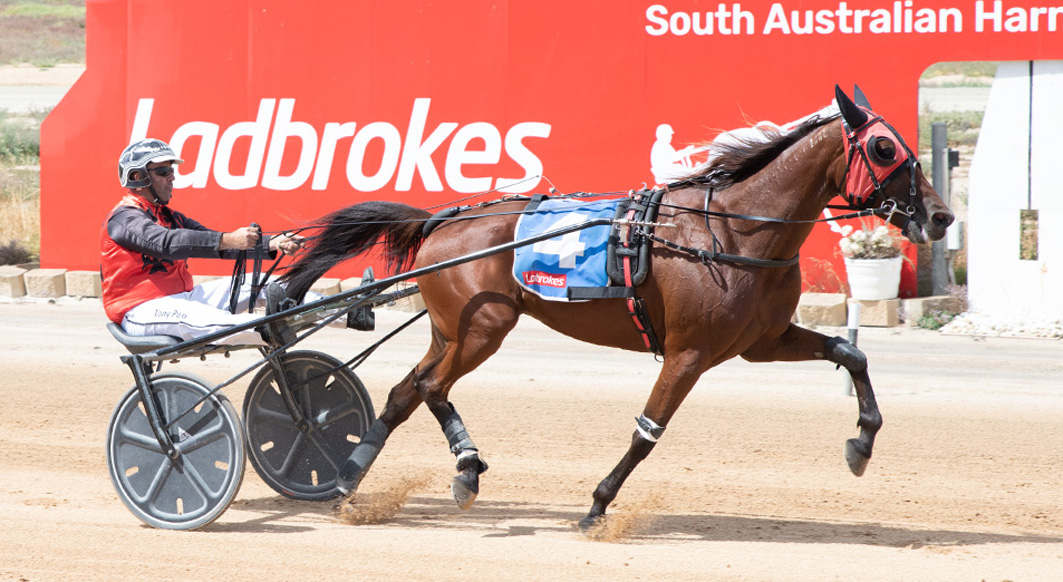 Riding the crest of a wave