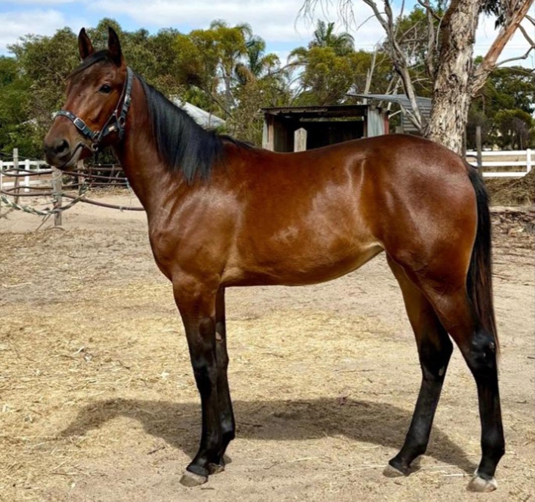 Spurr delivers three of the best