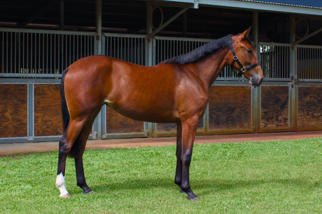 West brings the best