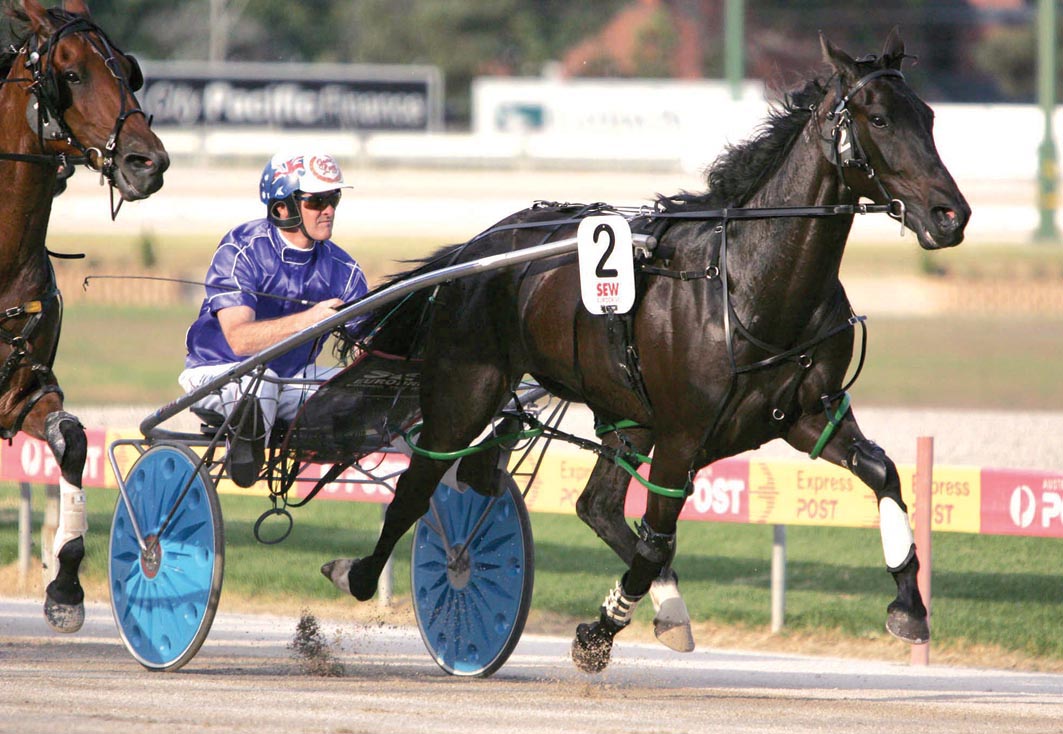 Multiple Group One winner going strong as a sprightly 24yo