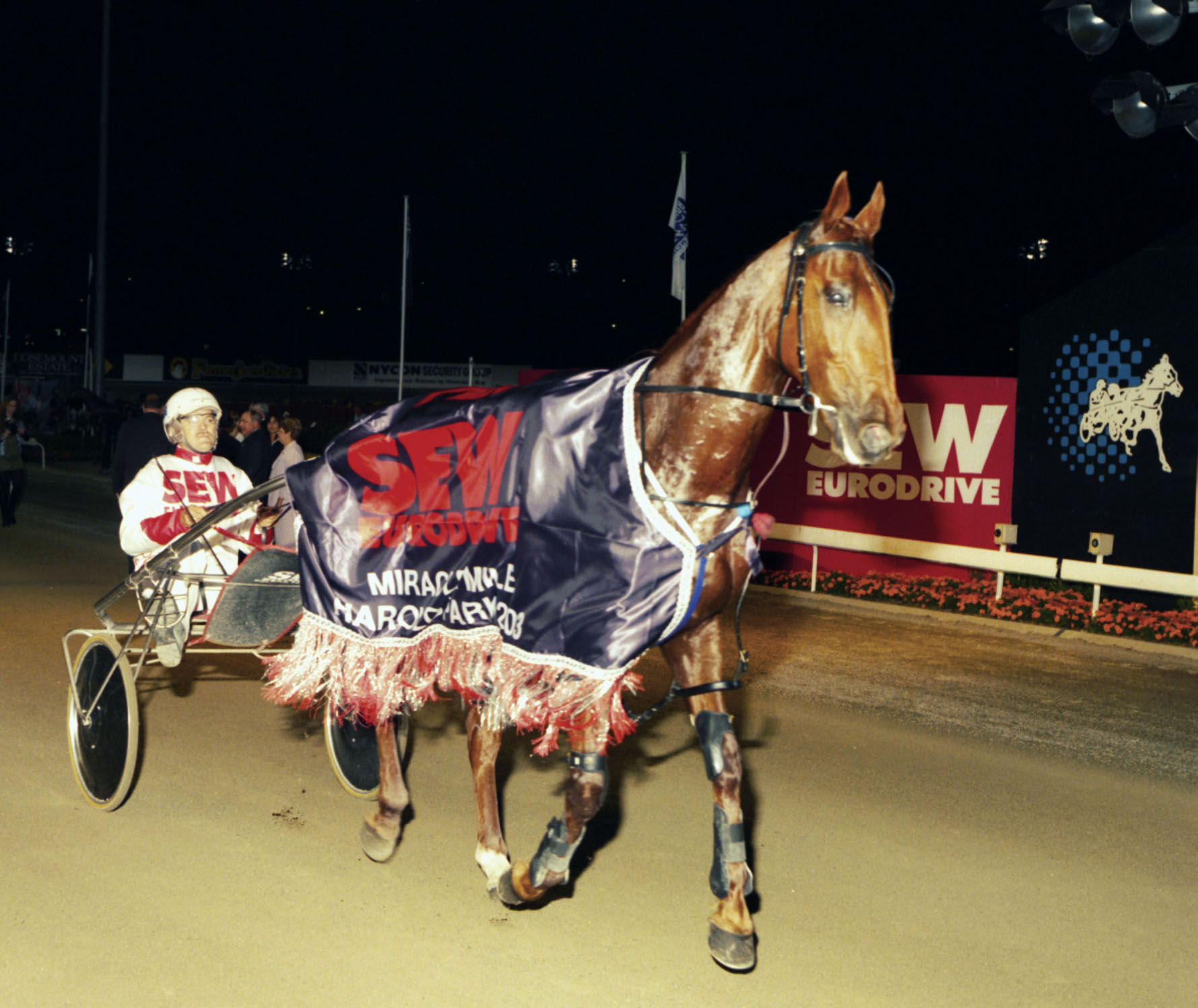 Sad passing of dual Miracle Mile winner