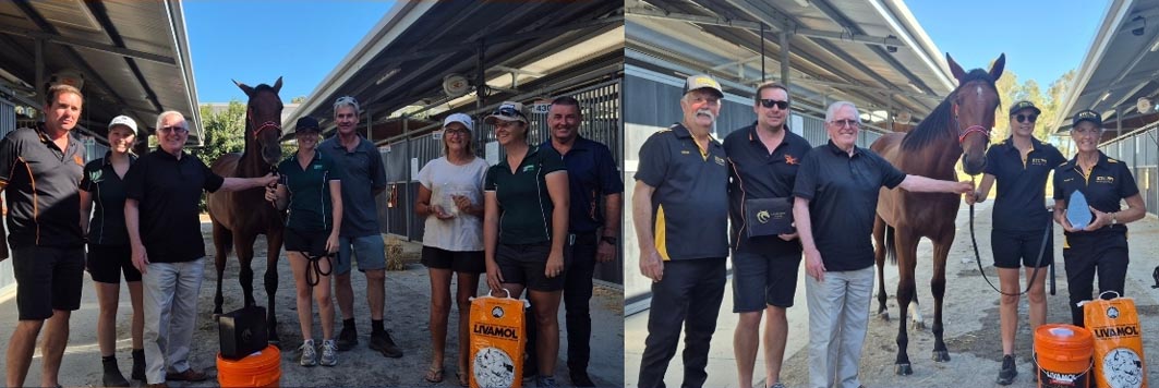 Records tumble at APG's Perth Sale