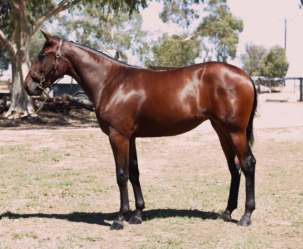 Excited about Sydney Sale