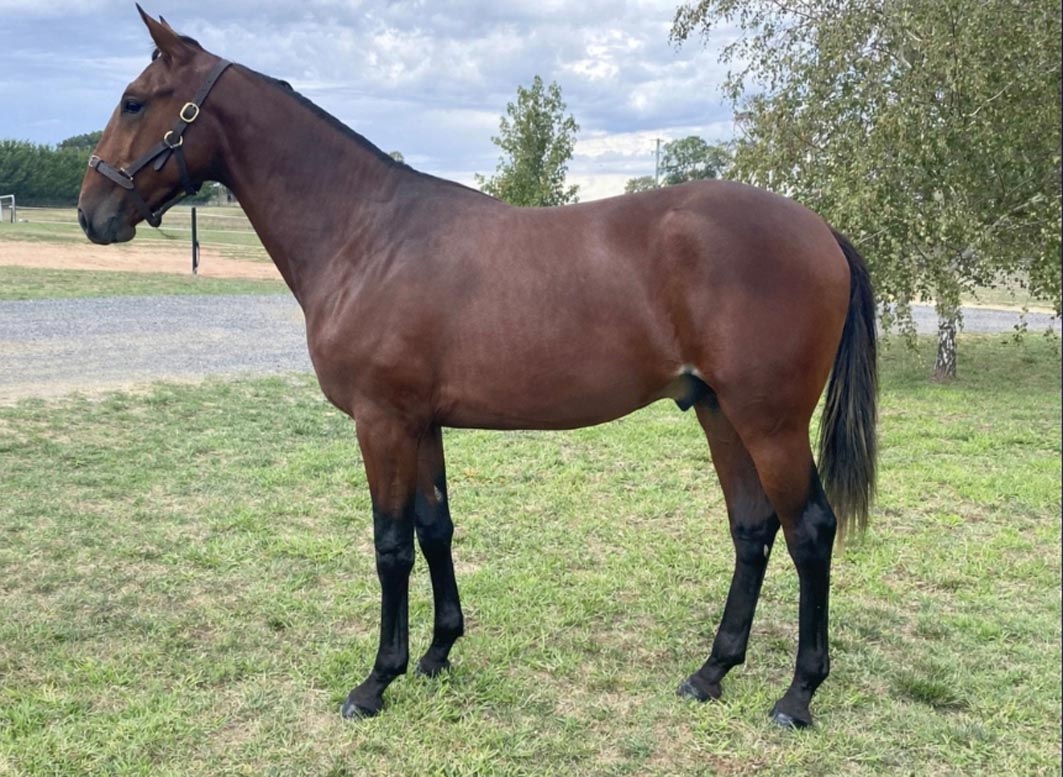 Cernovskis’ serving up the winners