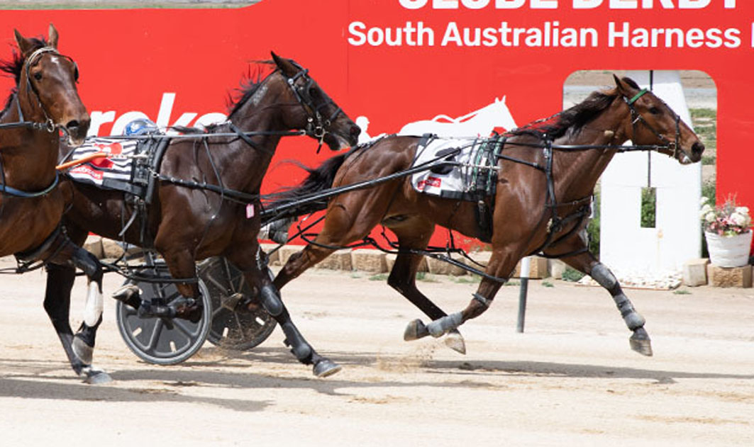 Anything you can do, I can do better!